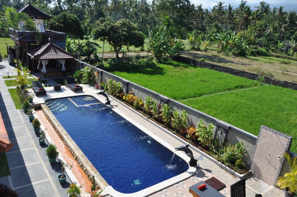 Summer Guesthouse Lovina Exterior photo