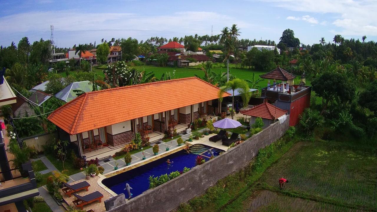 Summer Guesthouse Lovina Exterior photo